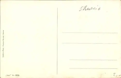 Ak Zürich, Panorama mit Bauschänzli, Metropol und Hauptpost