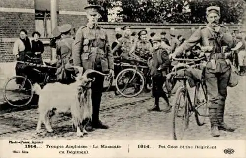 Ak Troupes Anglaises, La Mascotte du Régiment, I. WK, 1914