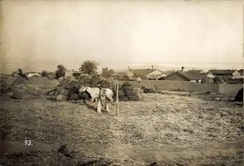 Ak Mazedonien, Bauer mit Vieh