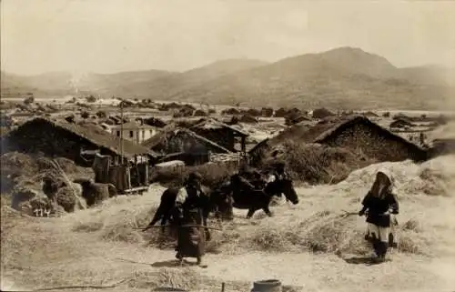 Ak Mazedonien, Feldarbeiter