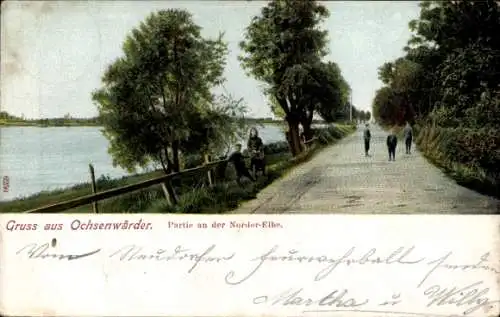 Ak Hamburg Bergedorf Ochsenwerder, Partie an der Norder Elbe