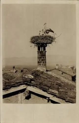 Ak Mazedonien, Storchennest