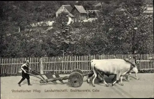 Ak Calw im Schwarzwald, Landwirtschaftl. Bezirksfest 1912, Festzug, Vorkeltischer Pflug