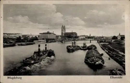 Ak Magdeburg an der Elbe, Elbe, Panorama