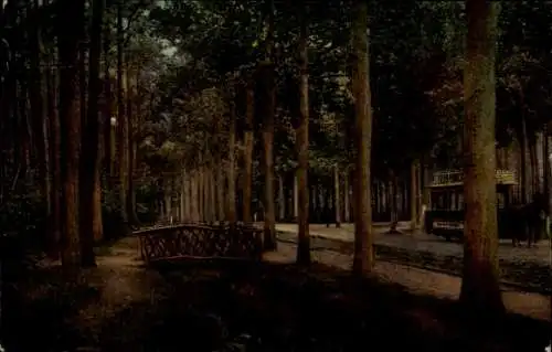 Ak Ginneken Breda Nordbrabant Niederlande, Boschlaan-Mastbosch