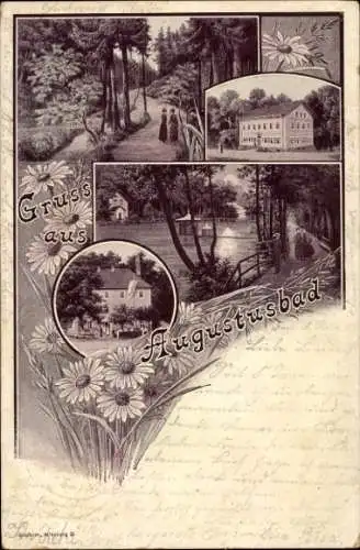 Passepartout Ak Liegau Augustusbad Radeberg in Sachsen, Waldspaziergang, Kurhaus