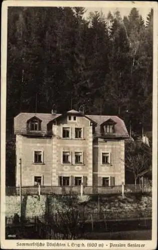 Ak Dönschten Dippoldiswalde Osterzgebirge, Pension Genieser
