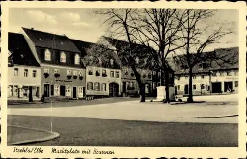 Ak Strehla an der Elbe Sachsen, Marktplatz, Gebäude, Bäume