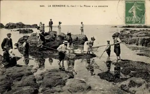 Ak La Bernerie en Retz Loire Atlantique, La Peche a la Crevette