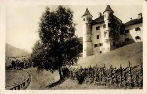 Ak Bad Hofgastein in Salzburg, Schloss mit Türmen, Baum im Vordergrund, Weinreben, Berglandschaft