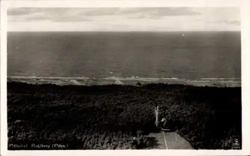 Ak Krynica Morska Kahlberg Ostpreußen, Fliegeraufnahme, Wald, Meer