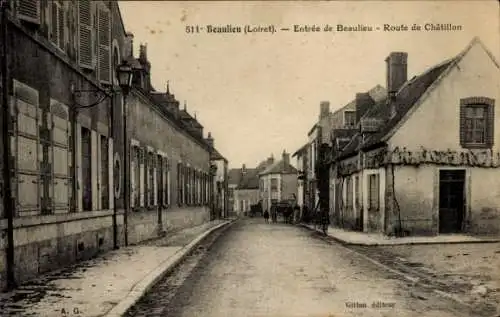 CPA Beaulieu Loiret, Entrée de Beaulieu, Route de Châtillon