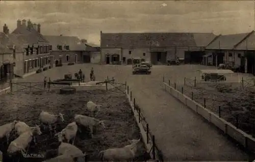 CPA Sermaises du Loiret, Farm D'Emerville