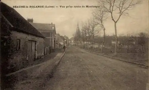 CPA Beaune la Rolande Loiret, Vue prise route de Montargis
