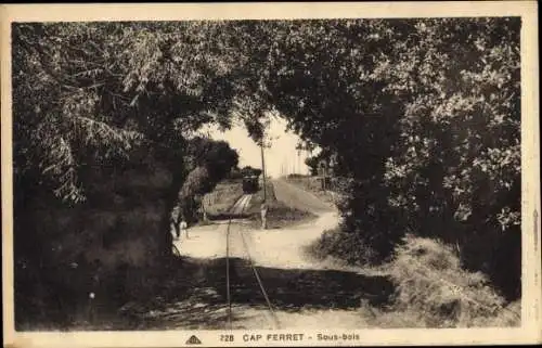 Ak Cap Ferret Gironde, Schatten spendende Bäume, Schmaler Weg, Eisenbahngleis