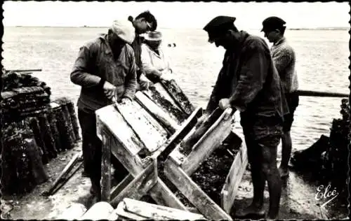 Ak Arcachon Gironde, Arbeiter beim Öffnen von Austern, Wasser im Hintergrund, traditionelle Auste