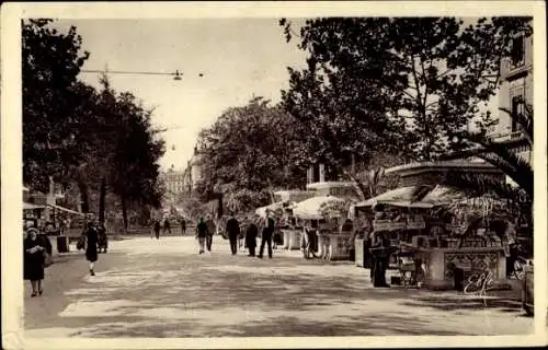 Ak Toulouse Haute Garonne, Avenue Jean Jaurès, Verkaufsstände, Bäume, Fußgänger