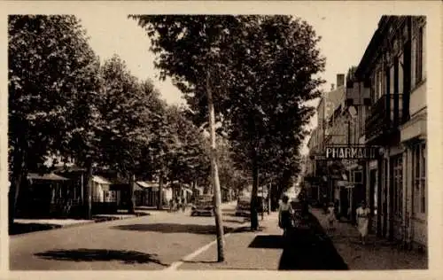 Ak Auch Gers, Avenue d'Alsace