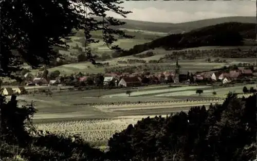 Ak Alhausen Bad Driburg in Westfalen, Landschaft mit Feldern, Dorfansicht, Kirche, Hügel im Hinte