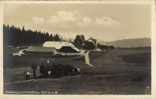 Ak Feldberg im Schwarzwald, Feldbergerhof, landschaftliche Idylle, landwirtschaftliche Arbeit, Be