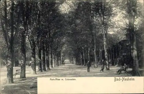 Ak Bad Nauheim in Hessen, Park-Allee m. Colonaden, Bäume, Spaziergänger, Bank