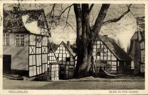 Ak Tecklenburg in Westfalen, Blick in den Grund, Fachwerkhäuser, großer Baum