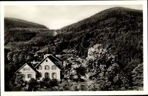 Ak Gernsbach im Schwarzwald, Schloss Eberstein, Waldrestaurant Neuhaus, am Fuße des Merkur, Natur