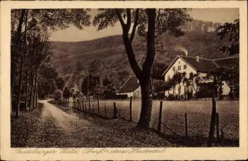 Ak Detmold Teutoburger Wald, Donoper Teich, Landschaft mit Wald, Weg, Gebäude, alte 