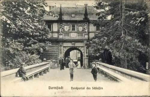 Ak Darmstadt in Hessen, Nordportal des Schlosses,  Architektur, Parklandschaft