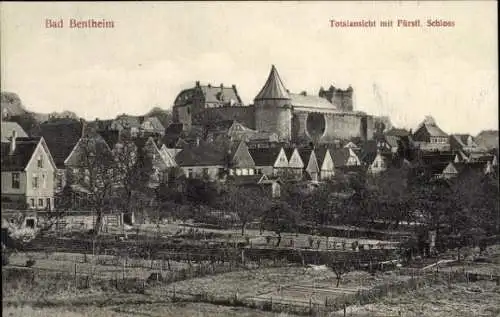 Ak Bad Bentheim in Niedersachsen, Totalansicht mit Fürstl. Schloss,  Gebäude, Stadtansicht