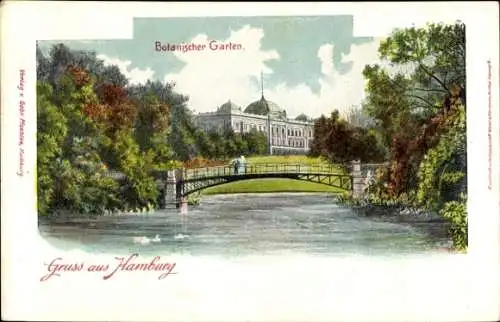 Ak Hamburg Altona Neumühlen Oevelgönne, Botanischer Garten, Brücke, Seen mit Schwänen