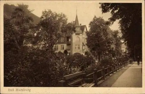 Ak Bad Harzburg am Harz, Historisches Gebäude, Bäume, Parkweg, sepia