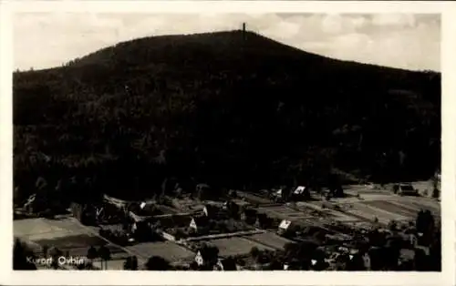 Ak Oybin in der Oberlausitz, Gesamtansicht, Hochwald