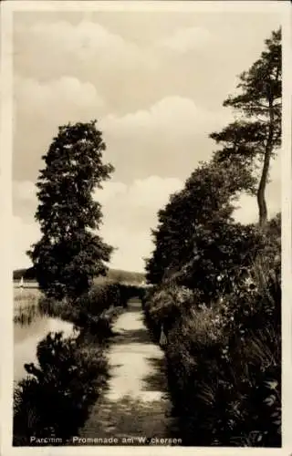Ak Parchim in Mecklenburg, Promenade, W-ckersee, Landschaft, Bäume, Weg