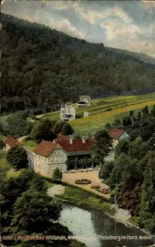 Ak Treseburg Thale im Harz, Hotel Bad Wildstein, Naturansicht, Fluss, Grün, Gebäude