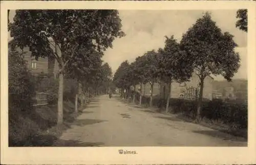 Ak Waimes Weismes Wallonien Lüttich, Allee