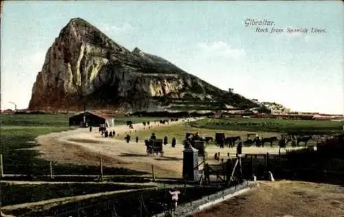 Ak Gibraltar,  Felsen von spanischen Linien, Landschaft, Bewuchs, Pferde