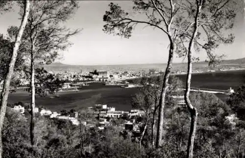Ak Palma de Mallorca Balearische Inseln, Stadtansicht, Kathedrale, Hafen, Wald von Bellver