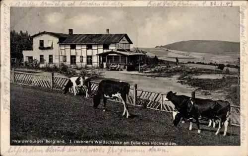 Ak Lubomin Liebersdorf Schlesien, J. Laubners Waldschänke, Kühe
