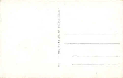 Ak Einfeld Neumünster, Ortspartie, Kriegerdenkmal I. WK