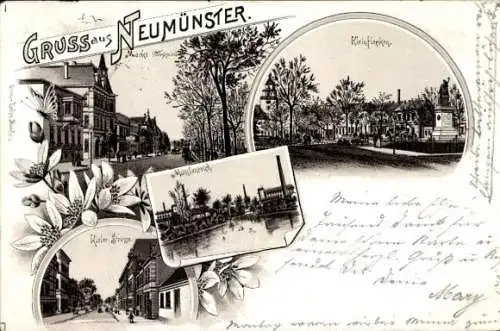 Ak Neumünster in Holstein, Verschiedene Ansichten von  Grüße, Naturansichten