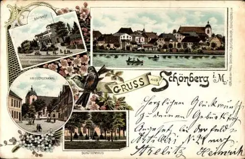 Litho Schönberg Mecklenburg, Bahnhof, Kriegerdenkmal, Schützenhaus
