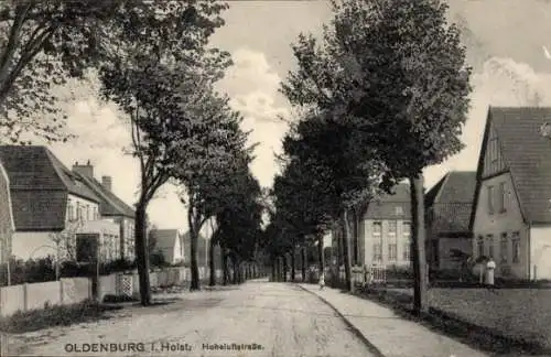 Ak Oldenburg in Holstein, Hoheluftstraße
