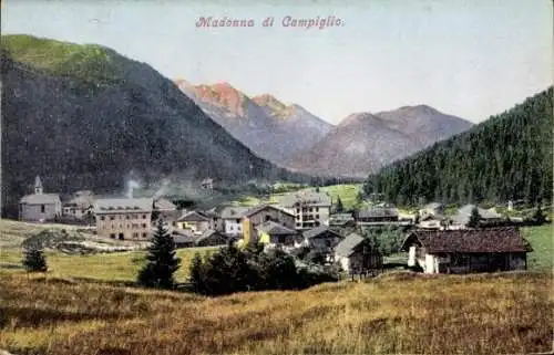 Ak Madonna di Campiglio Sankt Maria im Pein Trentino, Berglandschaft, Dorf,  Gebäude, blühende Wi