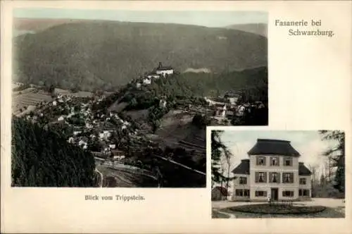 Ak Schwarzburg in Thüringen, Blick vom Trippstein, Fasanerie, ländliche Landschaft, alte Architek