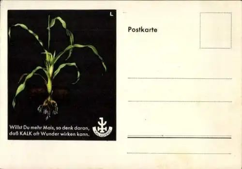 Ak Kalk Dünger, Reklame