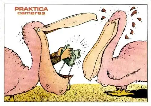 Künstler Ak Forchner, Ulrich, Praktica cameras, Reklame, Humor, Pelikane