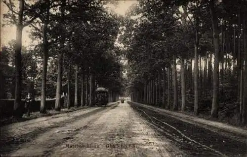 Ak Ginneken Breda Nordbrabant Niederlande, Allee mit Bäumen, Straßenbahn in der Mitte, rechts ...