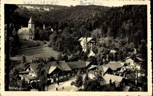 Ak Międzygórze Wölfesgrund in Schlesien, Teilansicht