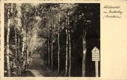 Ak Butterberg Bischofswerda in Sachsen, Waldpartie am  Rodelbahn, Bäume, Weg, Holzschild